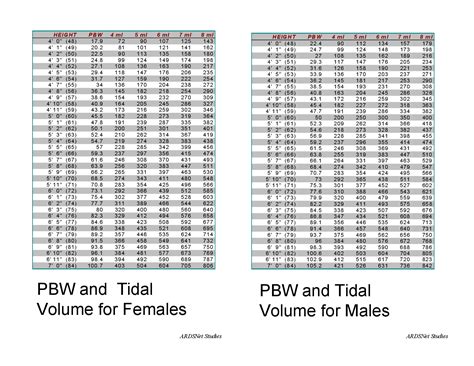 tidal volume chart